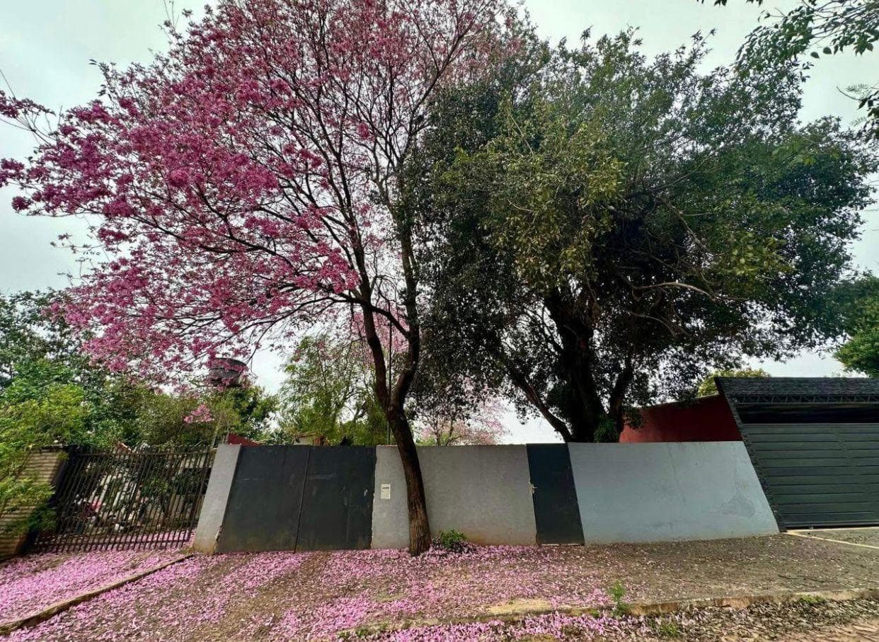Terreno en venta en Campo Grande Luque