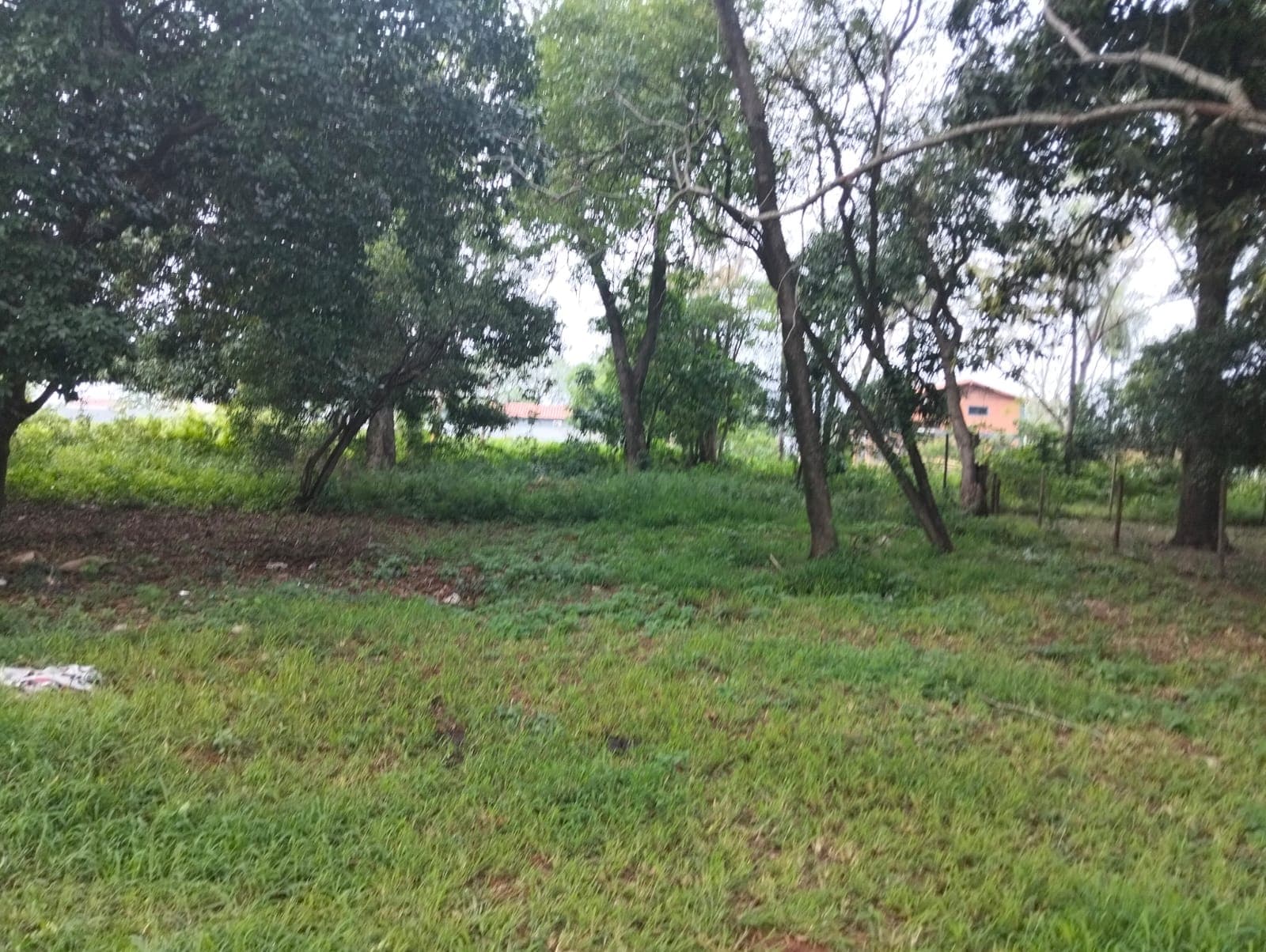 Terreno sobre asfalto en Ñemby!, foto 5