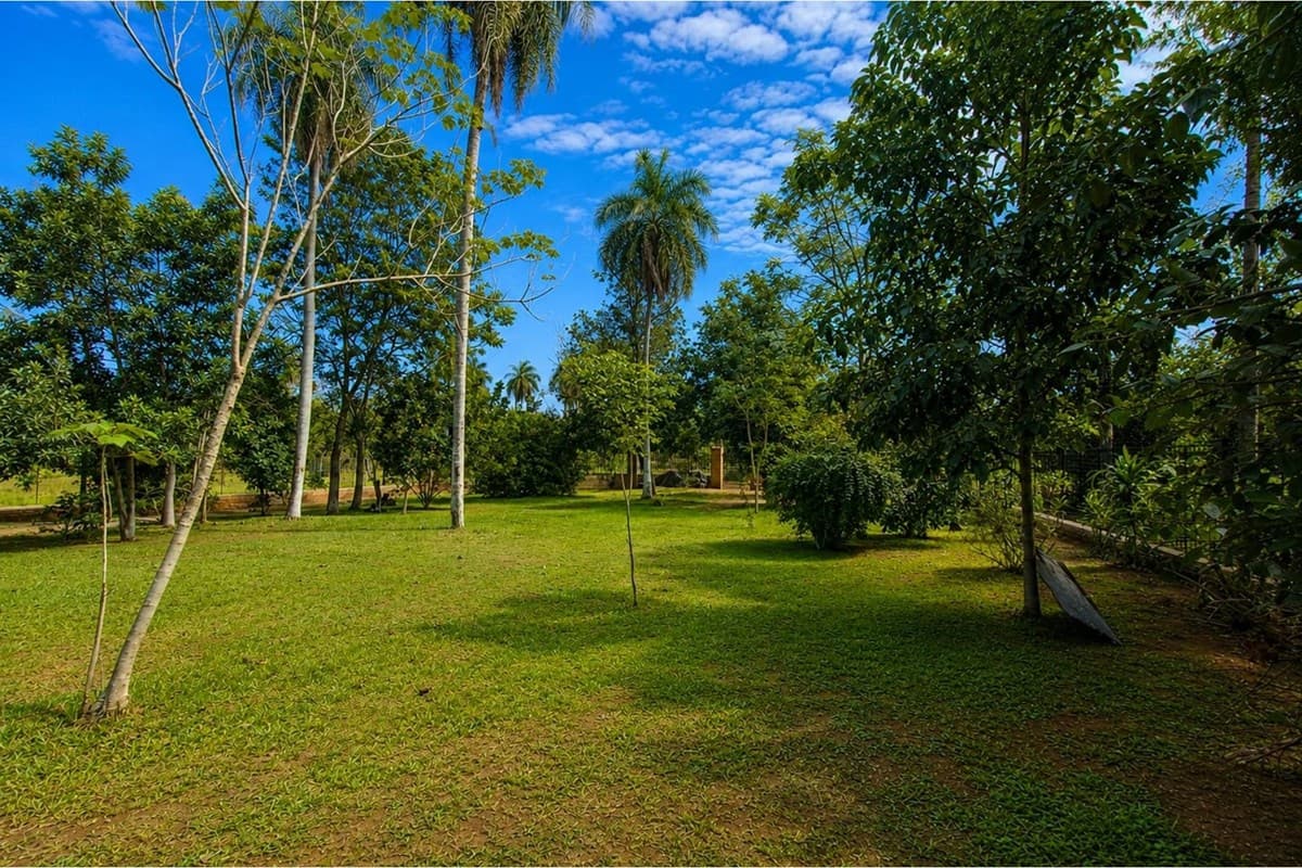 Casa de Verano, Alquiler en Aregua, foto 4