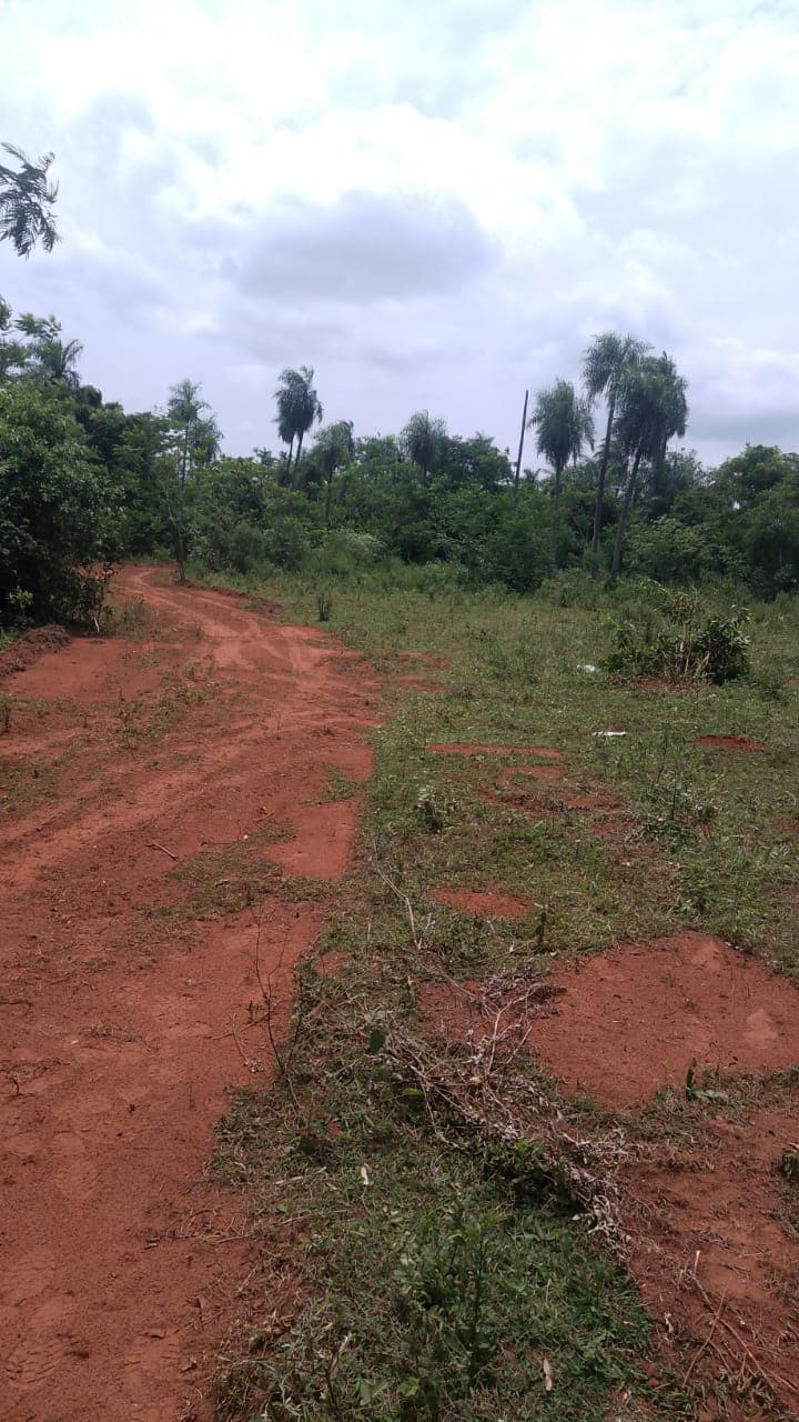 En venta 5 hectáreas en Dpto de Paraguarí, foto 4