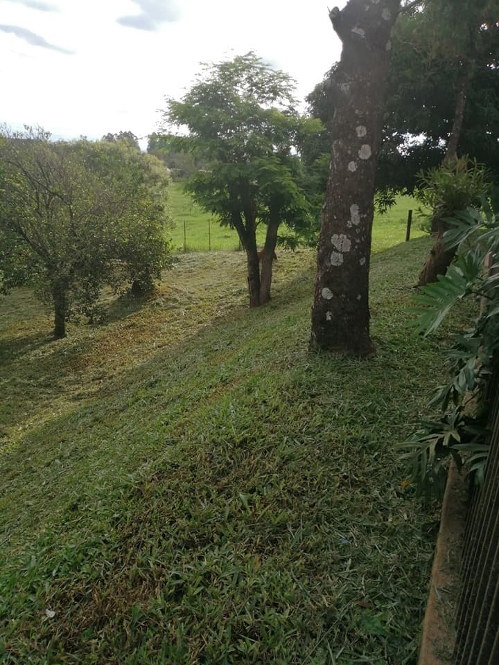 Casa En Hernandarias - Con Gran Terreno, foto 4