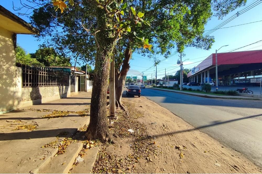 Terreno con casa en Luque tercer barrio, foto 4