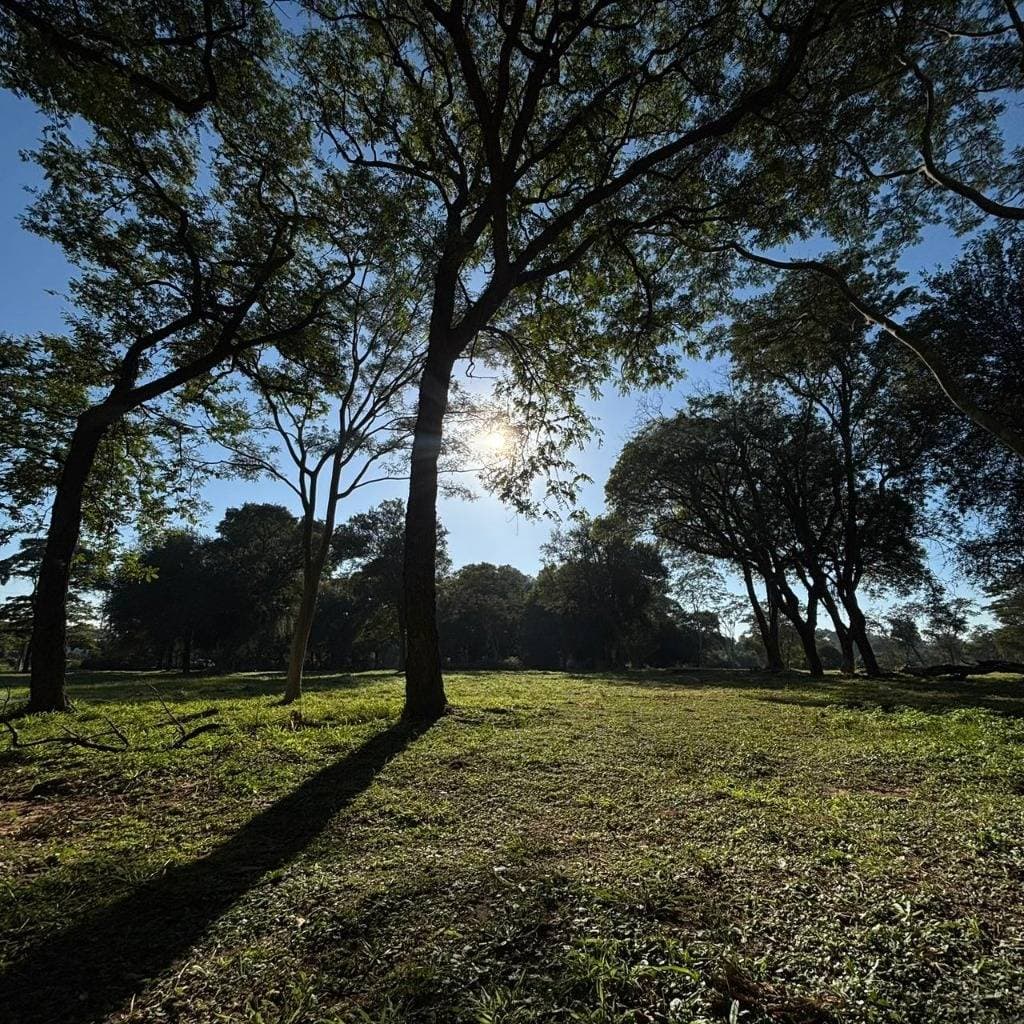 Terreno 48.320 m² sobre Ruta Transchaco | Loma Pytá, foto 4