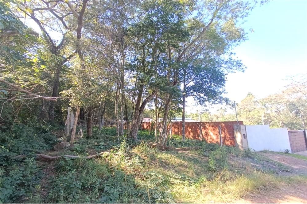 Terreno en San Bernardino, foto 3