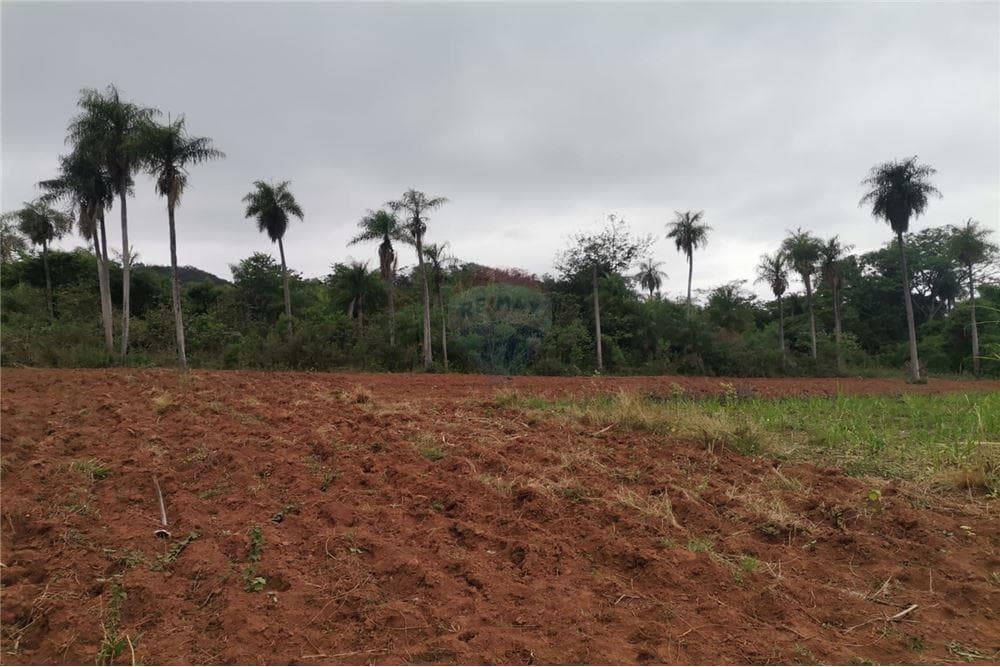 Terreno de 4 Hectáreas en oferta, foto 2