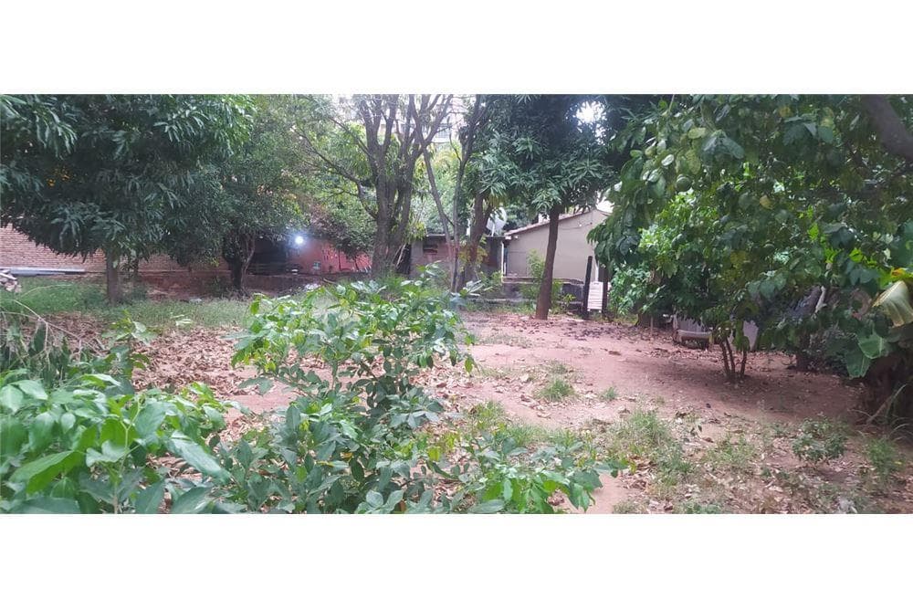 Terreno zona cit sobre asfalto 600 m2, foto 3