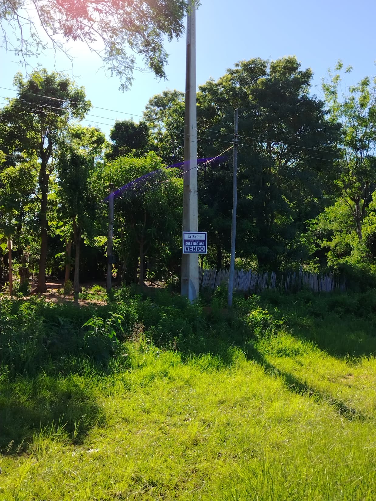 Terreno en paraguari, foto 2