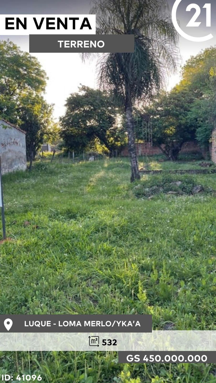 Terreno en loma merlo Luque, foto 4