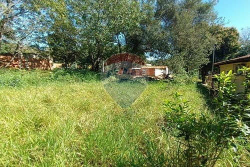 Terreno Ideal en Zona de Crecimiento, foto 2