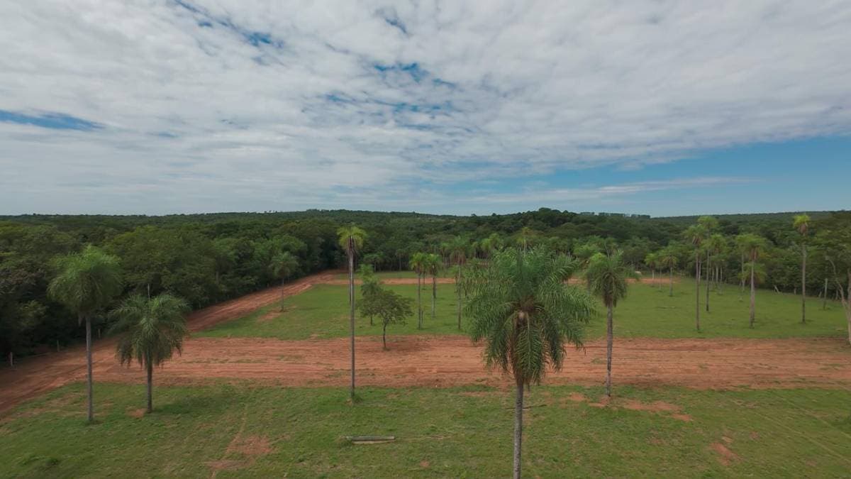 Oportunidad de inversion lotes en la ciudad de altos, foto 2