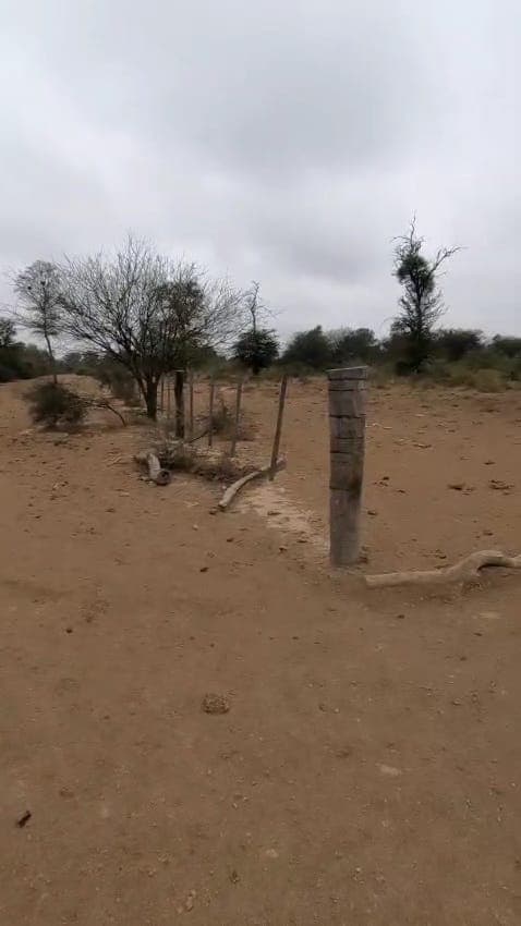 en el Chaco Zona Boquerón 165.5 Has — foto 4