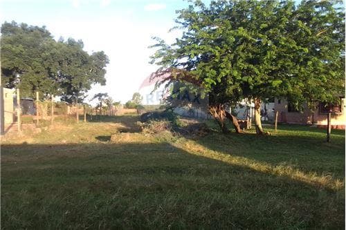 Terreno en venta, Luque, foto 3