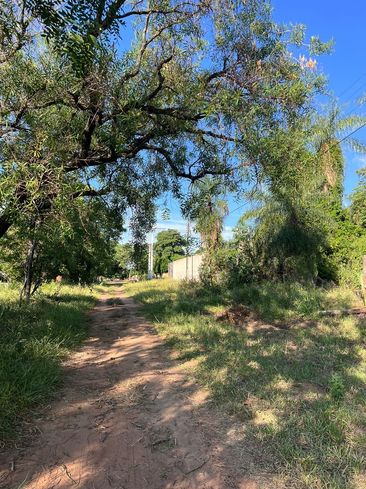 Terreno en venta caacupe loma, foto 1