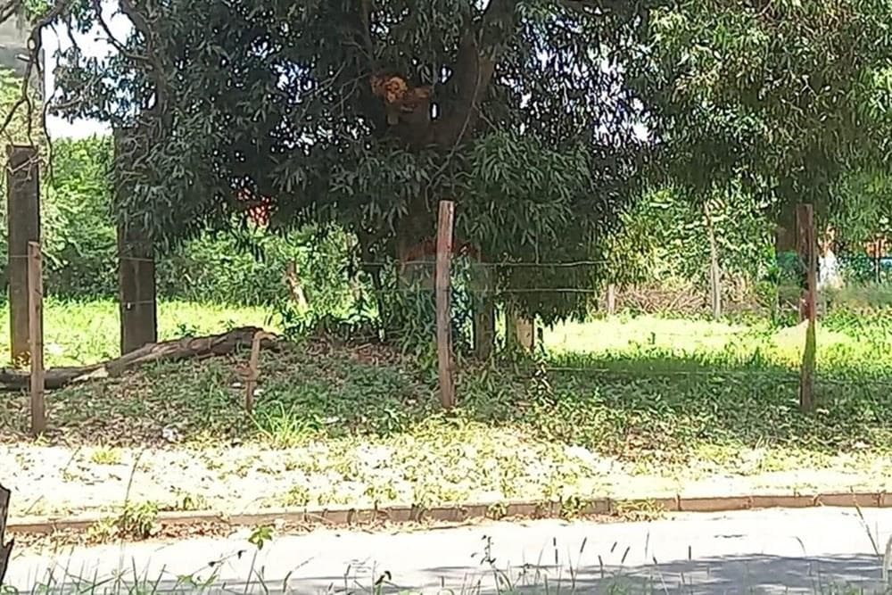 Terreno - Venta - Paraguay Central San Lorenzo, foto 1