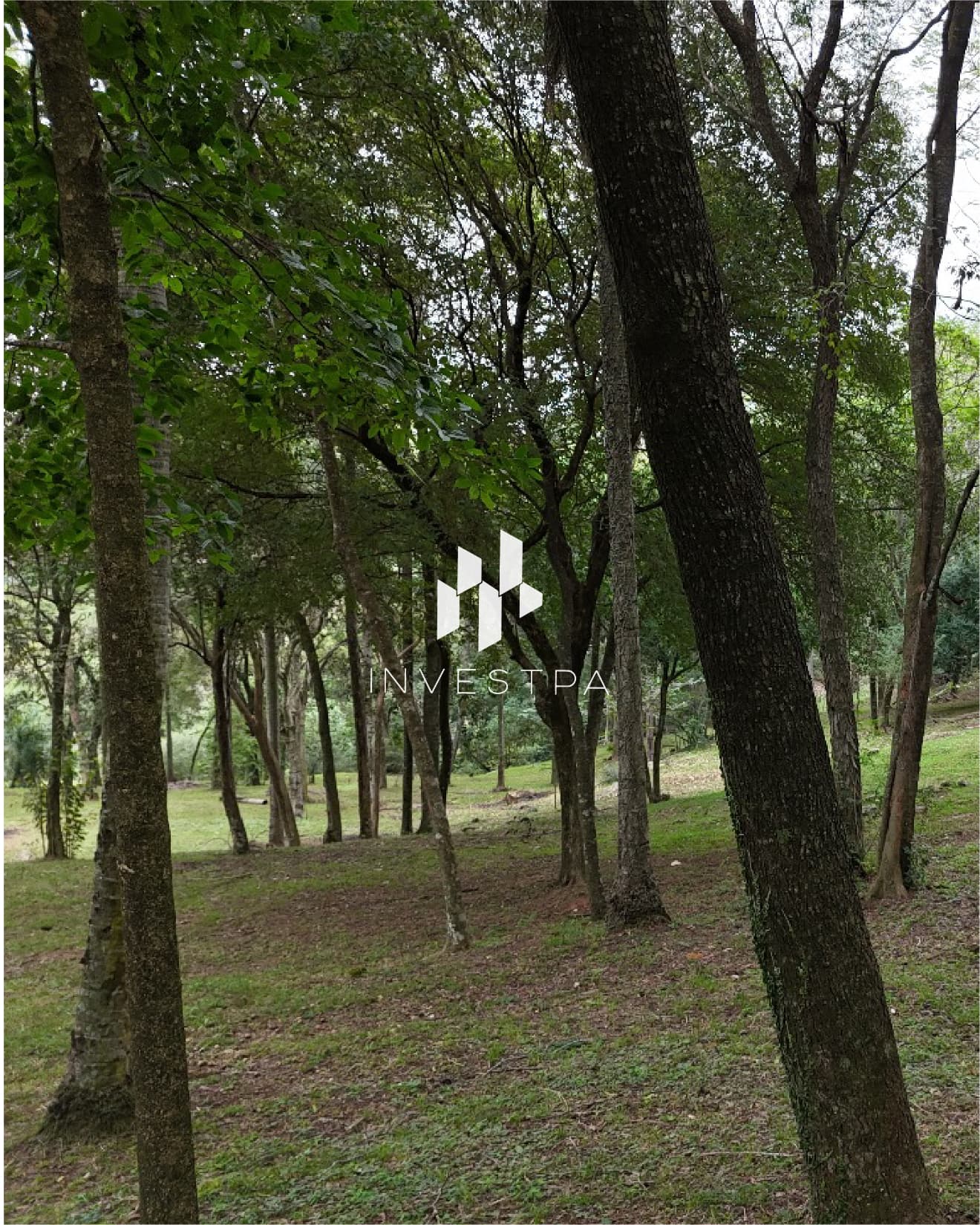 Hermoso Terreno en Barrio Cerrado de Atyra, foto 3