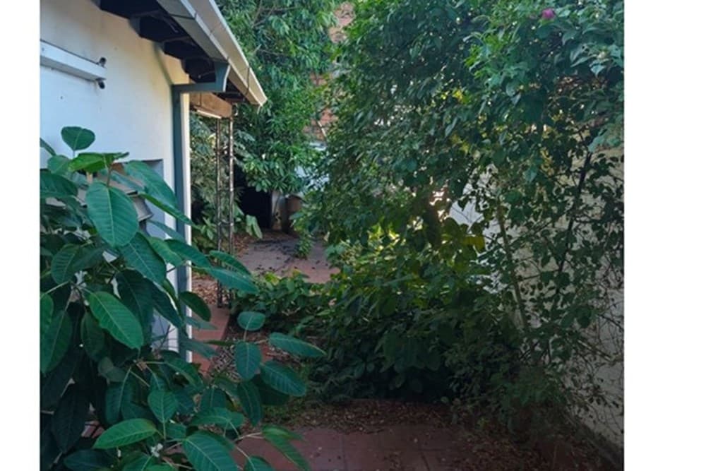 Importante propiedad sobre la av eusebioayala, foto 5