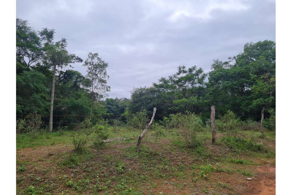 Terreno-Venta-Costa Pucu, Caacupé, Cordillera, foto 3
