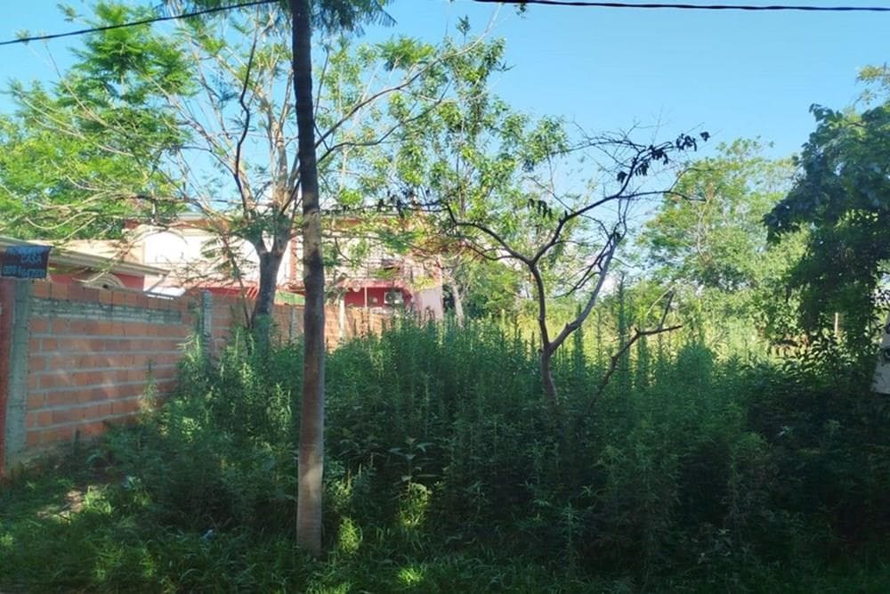 Vendo Terreno Luque
