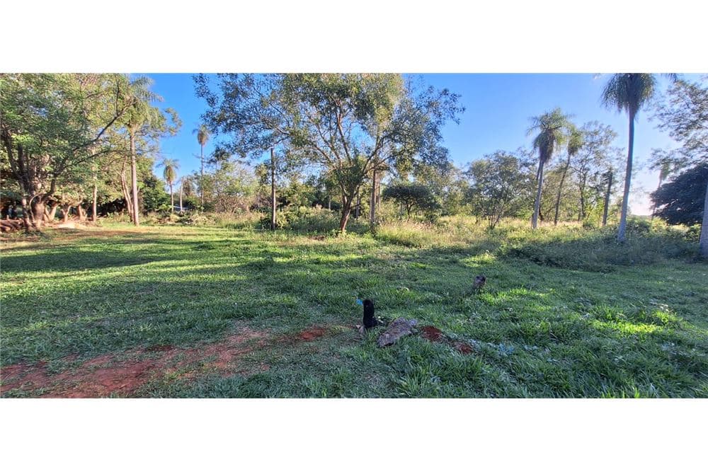 Terreno - Venta - Luque, Paraguay, foto 4