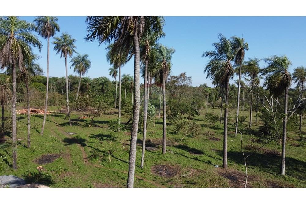 En venta hermoso terreno en caacupe, foto 2