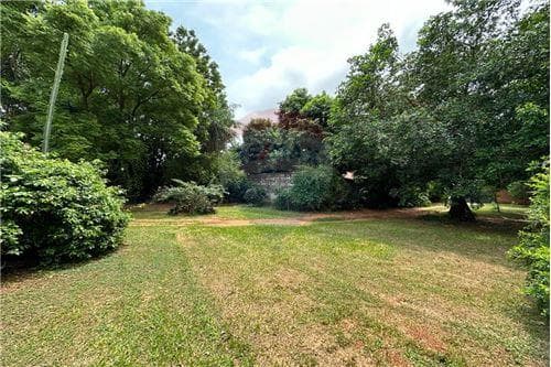 Excelente opurtunidad de inversión, 2 terrenos en fernando de mora zona norta, foto 3