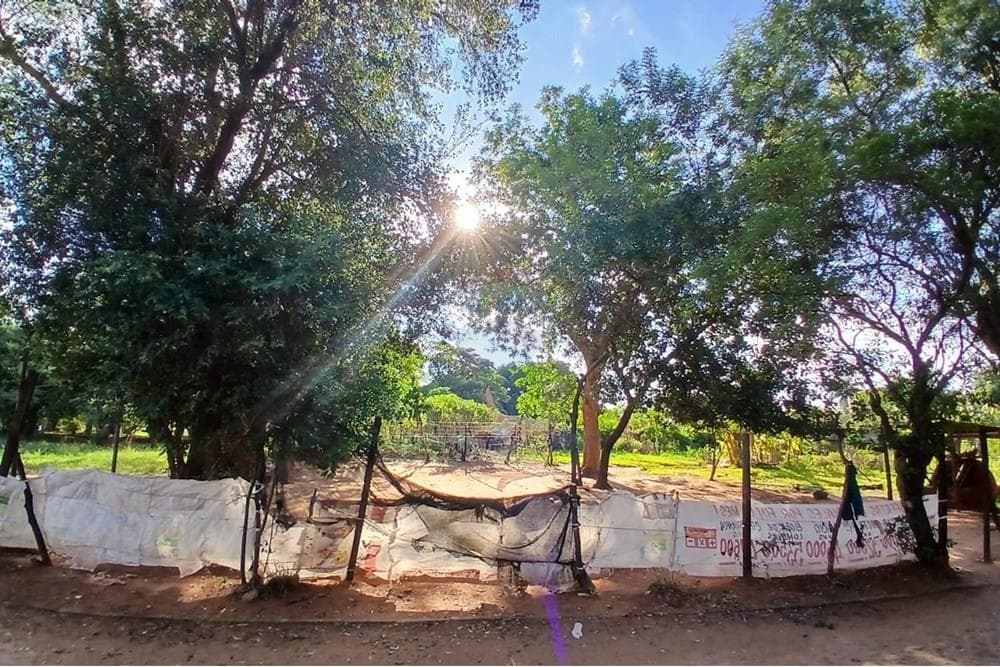 Terreno en Luque - laurelty, foto 3