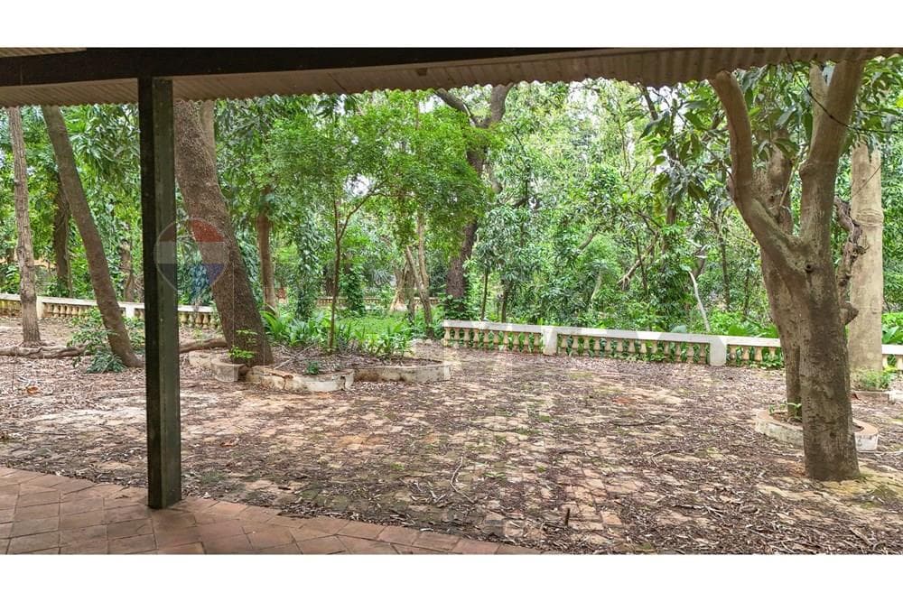 Terreno - Venta - Villa Elisa, Paraguay, foto 2