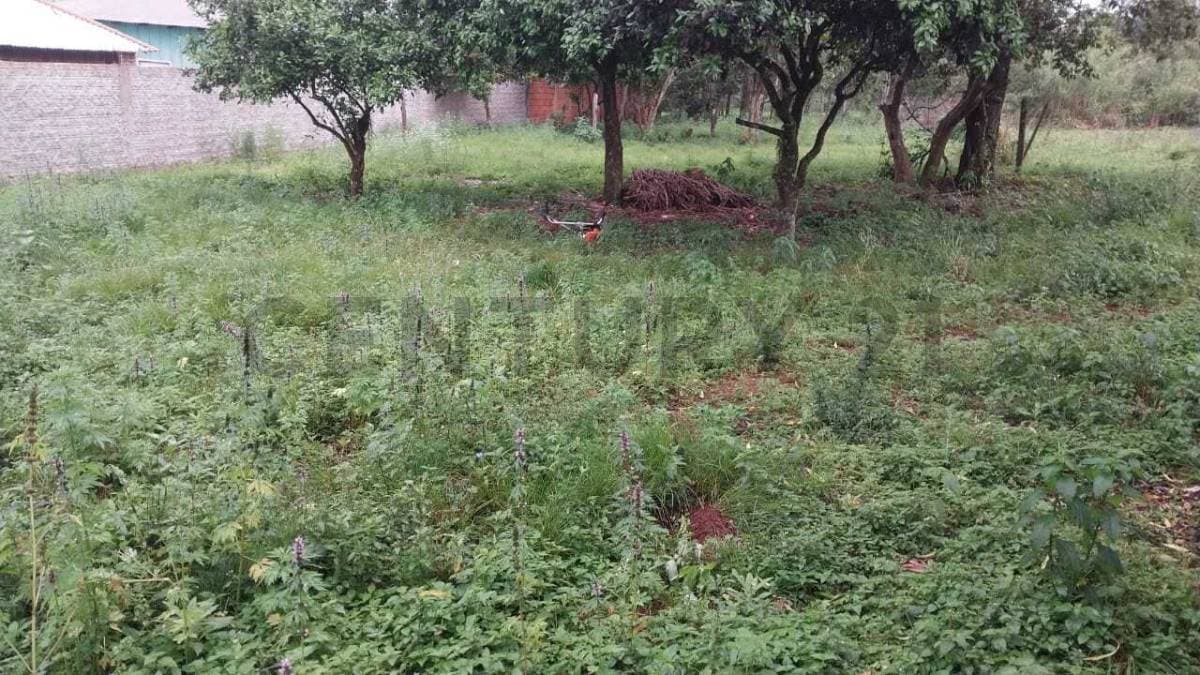 de Terreno en Presidente Franco, Alto Paraná, foto 1