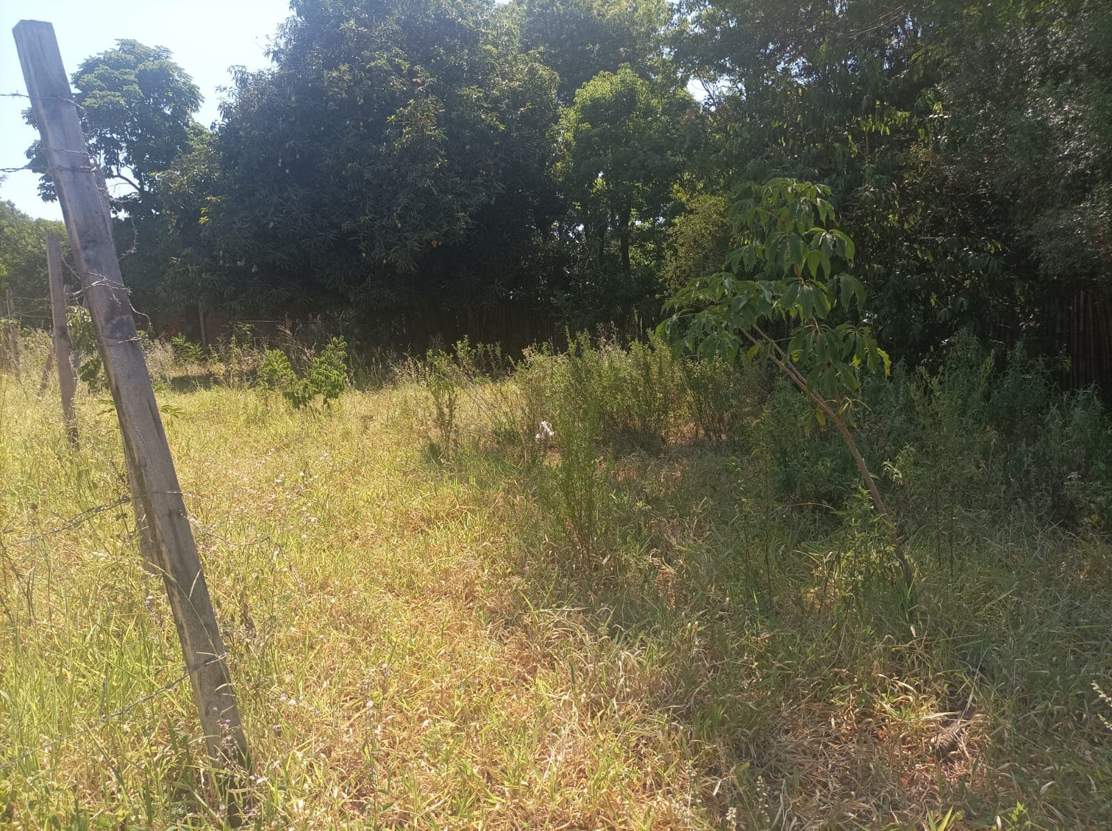 Vendo Terreno En La Ciudad De Aregua