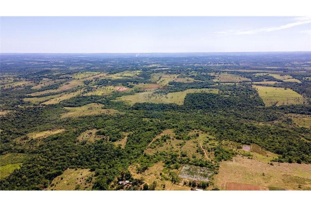Campo fertil agroganadero en coronel oviedo, foto 4