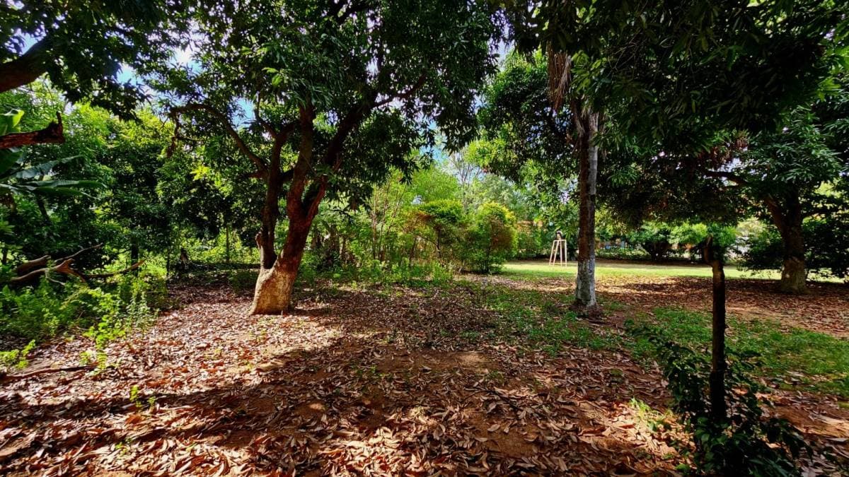 Amplio Terreno en Venta en Loma Merlo, Luque – Excelente Ubicación sobre asfalto, foto 2