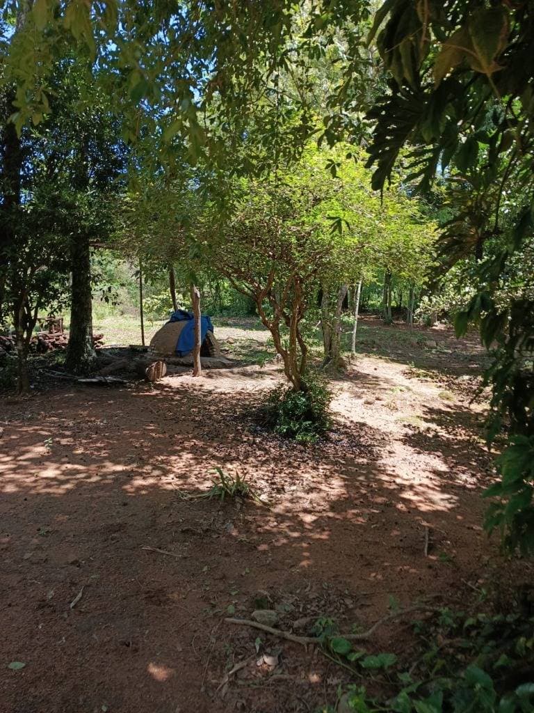 En venta propiedad agricola en paraguari mbatovi, foto 5