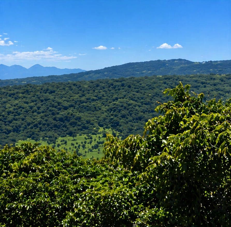 Propiedad rural en paraguarí, foto 2