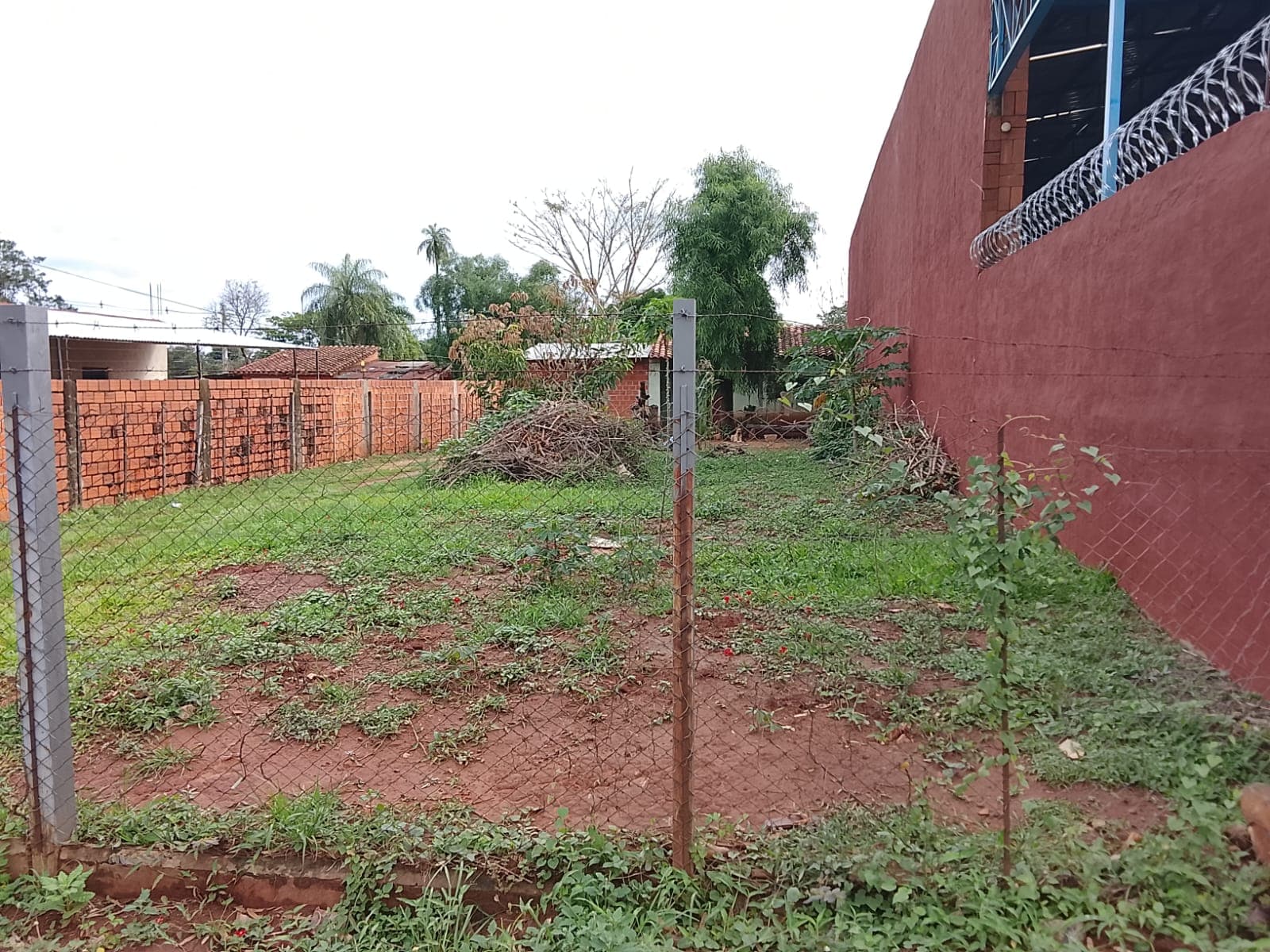 Terreno en Luque cañada san rafael, foto 4