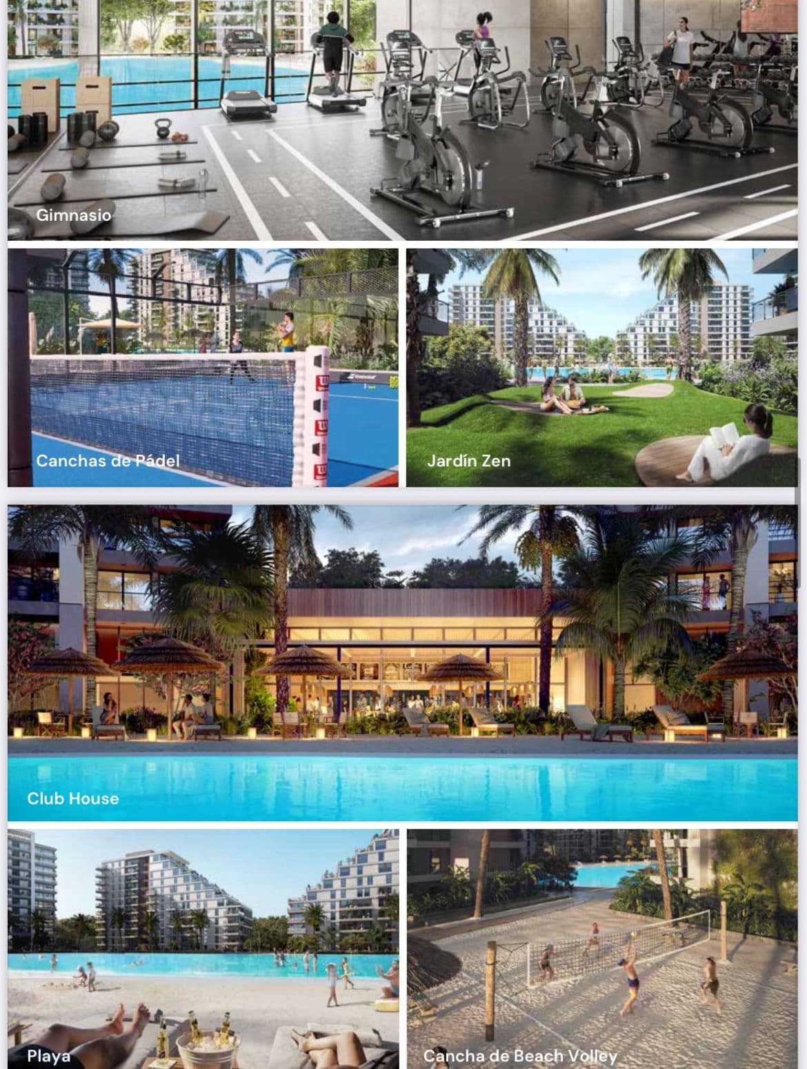 Rentabilidad proyectada de +10% anual en dólares, foto 2