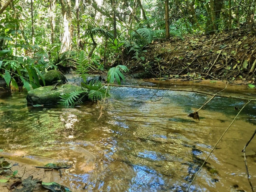 Amplio terreno en piribebuy rodeado de naturaleza, foto 5
