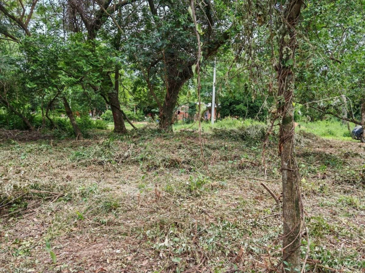 De dos terrenos juntos – San Bernardino 390 m² cada uno | total: 780 m², foto 2