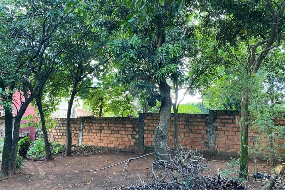 Terreno - Venta - Paraguay Central San Lorenzo, foto 5
