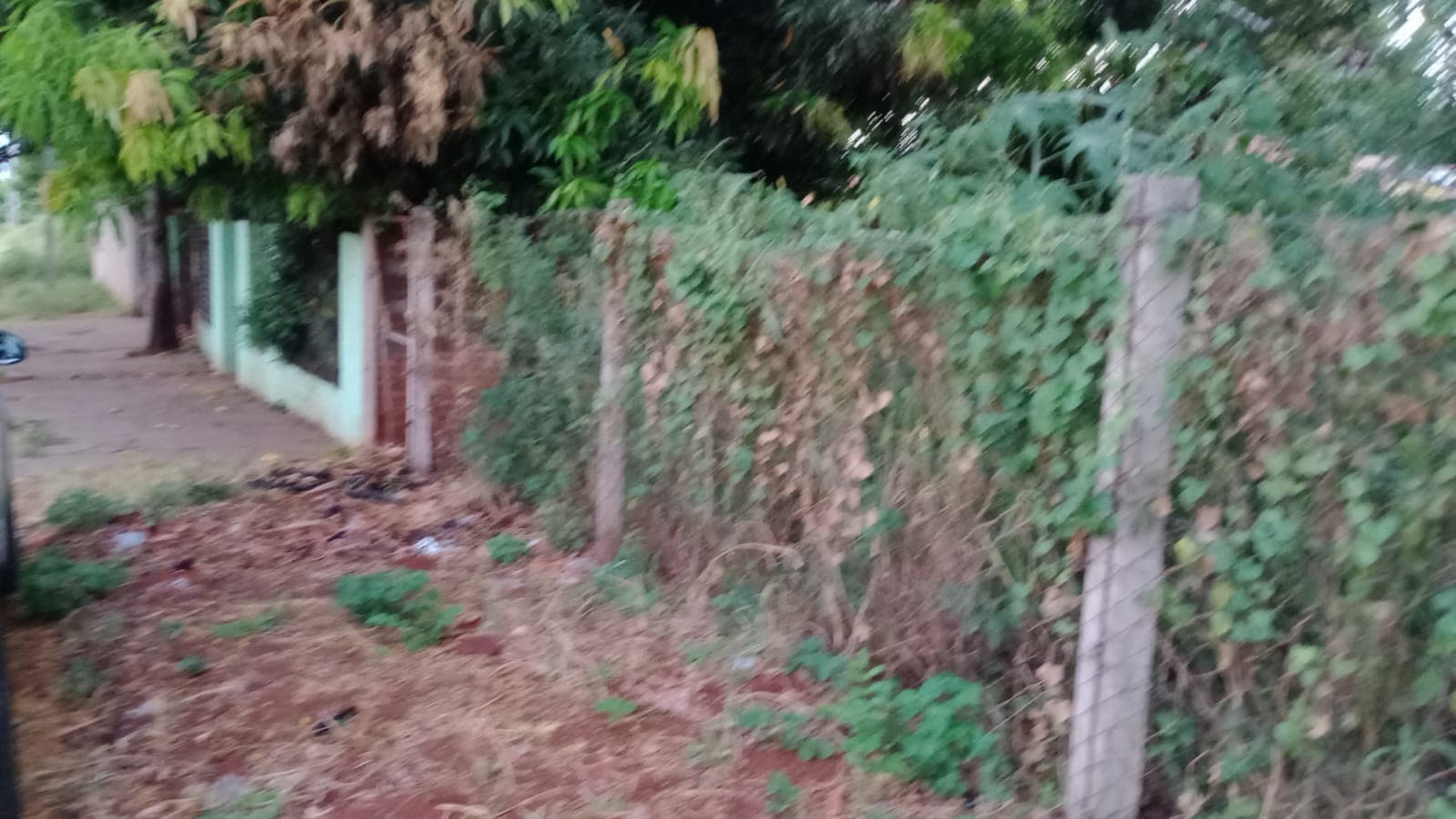 Terreno en venta Ñemby Cañadita, foto 2