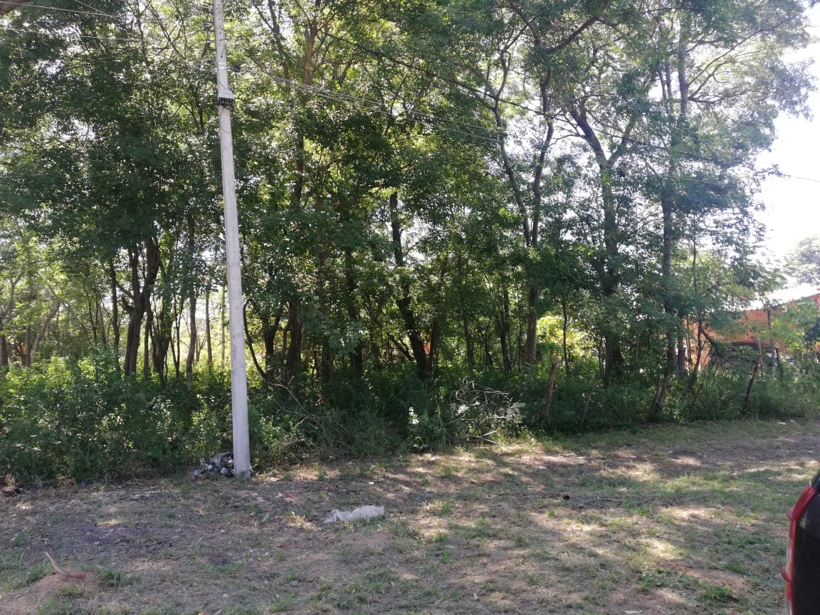 de 3 Terrenos en Ykua Karanday Luque, foto 3