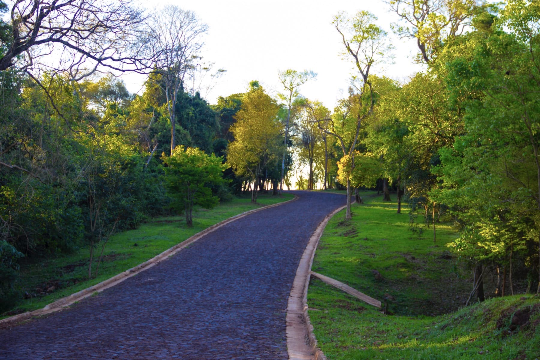 Lotes en elprestigioso club de campo aguavista — foto 2