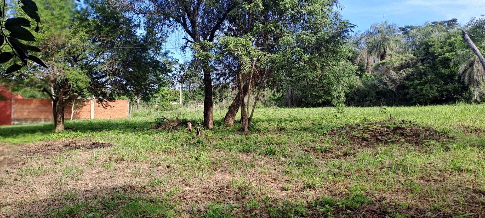 De 3 Terrenos Contiguos En Limpio IDEAL QUINTA o DESARROLLO, foto 5