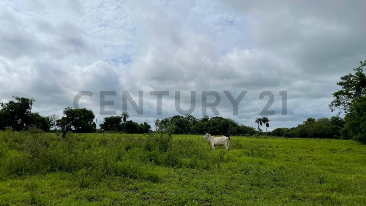 VENDE Terreno en Villeta — foto 5