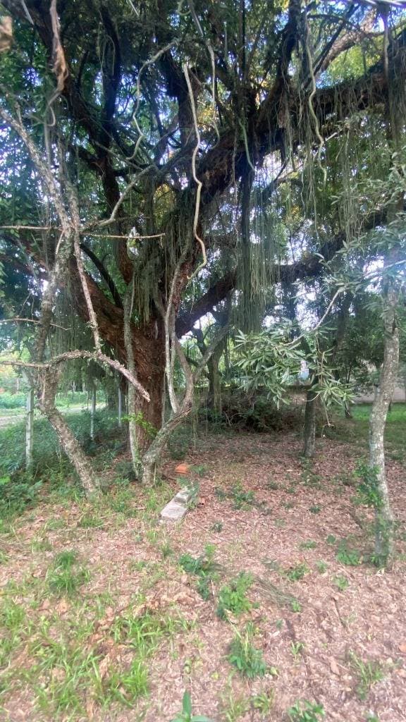 terreno en Urbanización SADI, foto 4