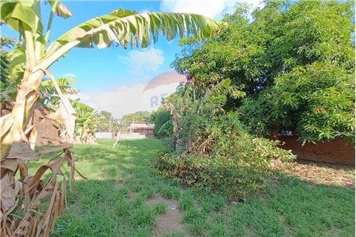 Terreno en venta, san vicente, foto 3