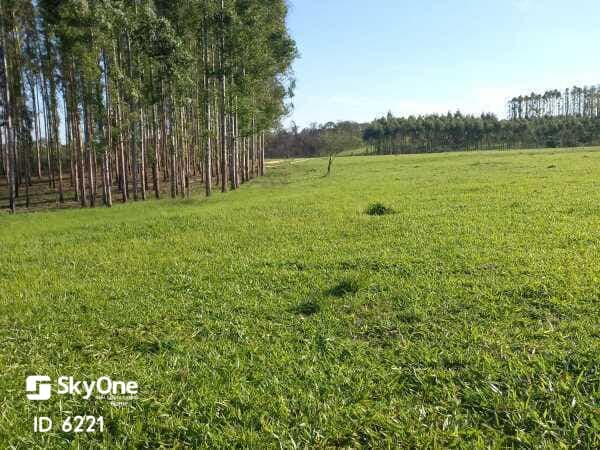Propiedad rural, foto 4