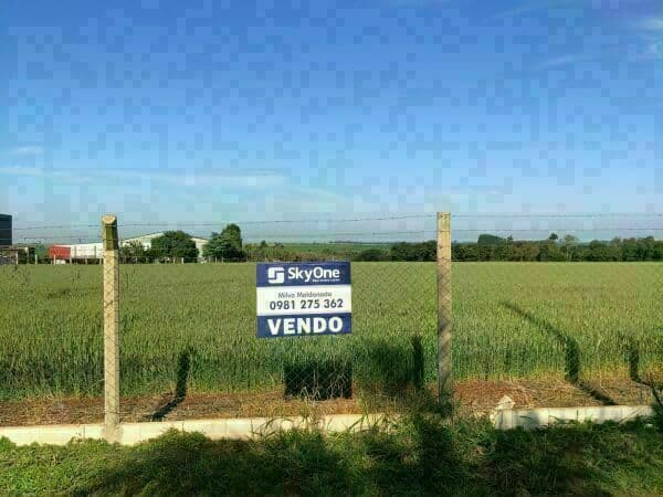 13 hectareas en santa rita, foto 3