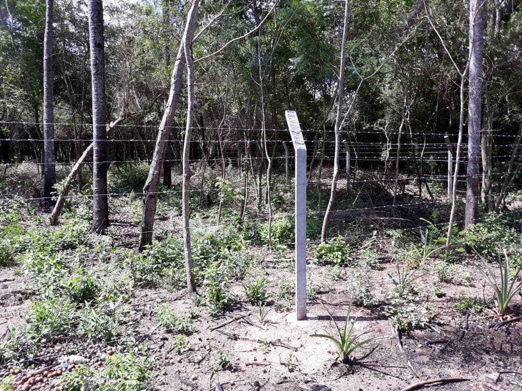 Terreno en venta en Rincón de San Bernandino, foto 3