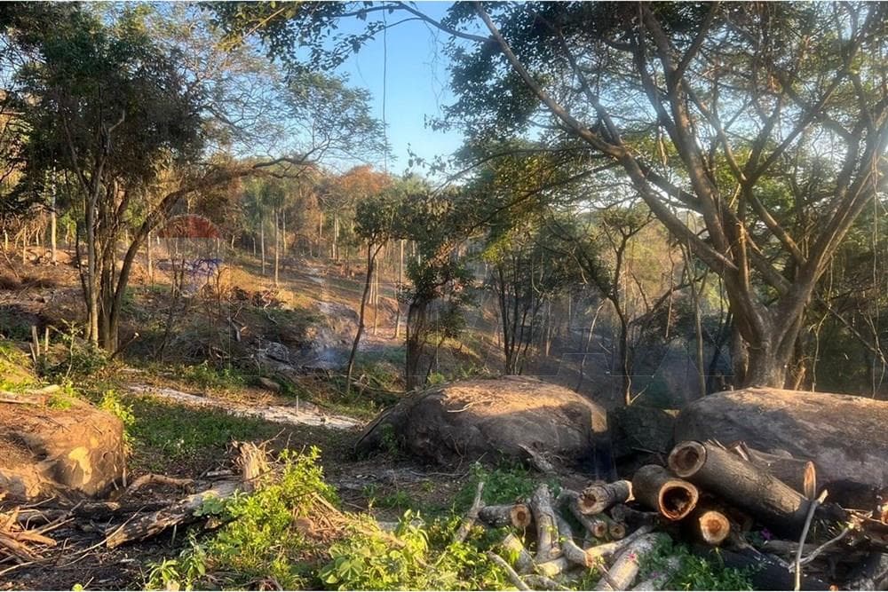 Terreno de 3,5 Hectáreas en Altos, Zona Tava Glamping/San Bernardino, foto 3
