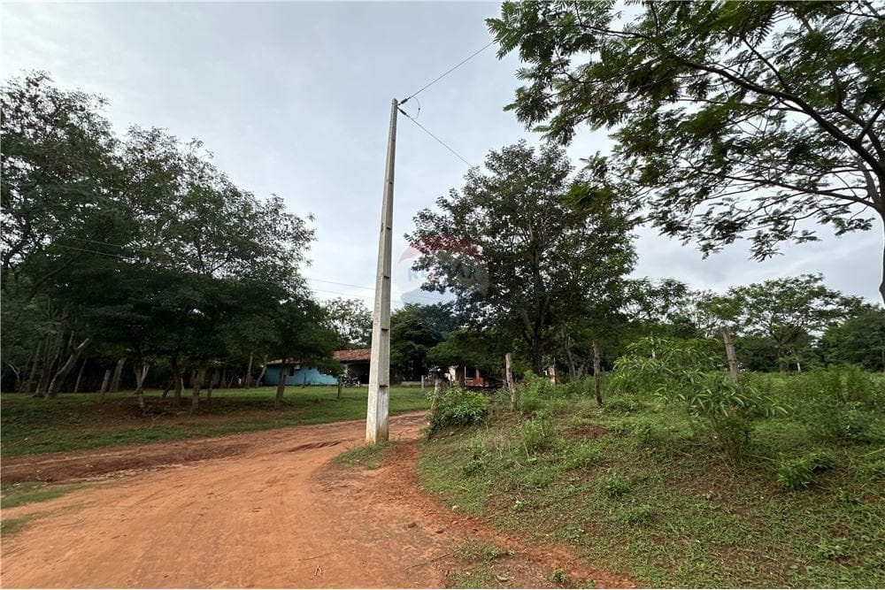 Terreno 5.000 m2 a 350 metros de Ruta 2 - Caacupe, foto 4